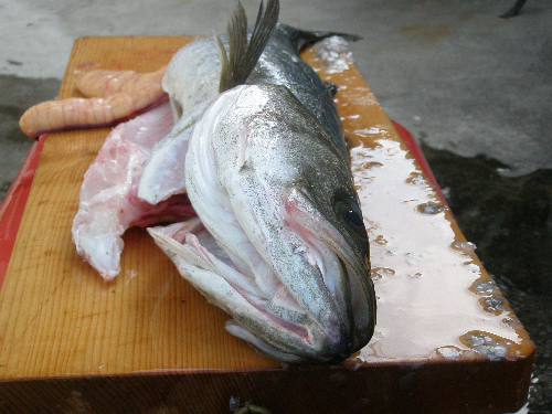f0150151_18131959.jpg