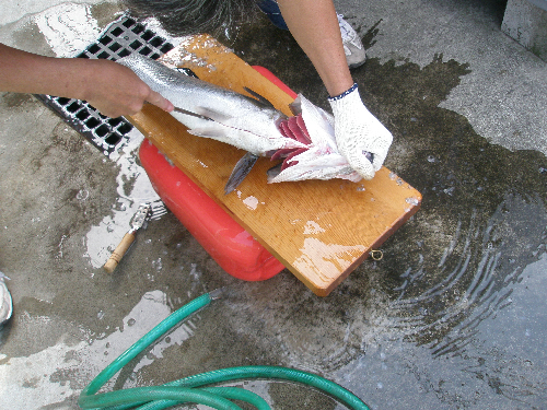 f0150151_1813740.jpg