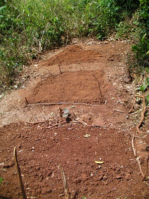 f0204551_215023.jpg