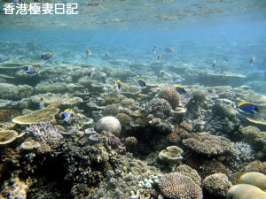 f0190653_9222214.jpg