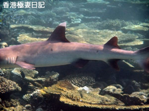 f0190653_922437.jpg
