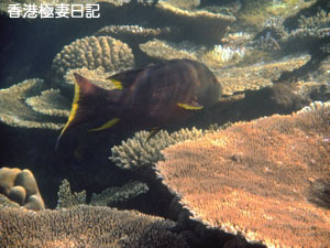f0190653_923263.jpg