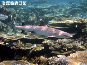f0190653_923729.jpg