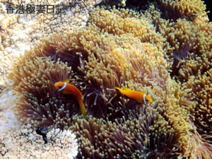 f0190653_9242877.jpg