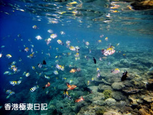 f0190653_9245945.jpg