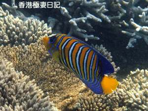 f0190653_924880.gif