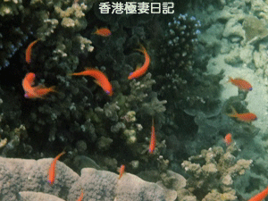 f0190653_9252151.gif