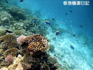 f0190653_9253162.jpg