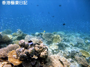 f0190653_9261615.jpg