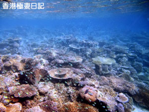 f0190653_9263885.jpg