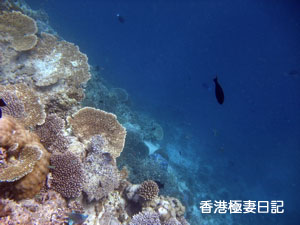 f0190653_9281715.jpg