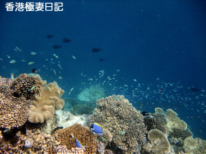 f0190653_9282998.jpg
