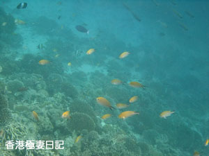 f0190653_9291545.jpg