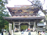 f0065954_2328469.jpg