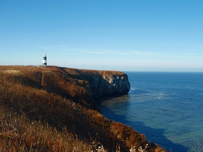 e0004756_2157556.jpg