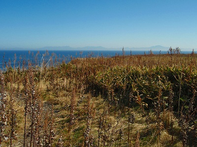 e0004756_2201318.jpg