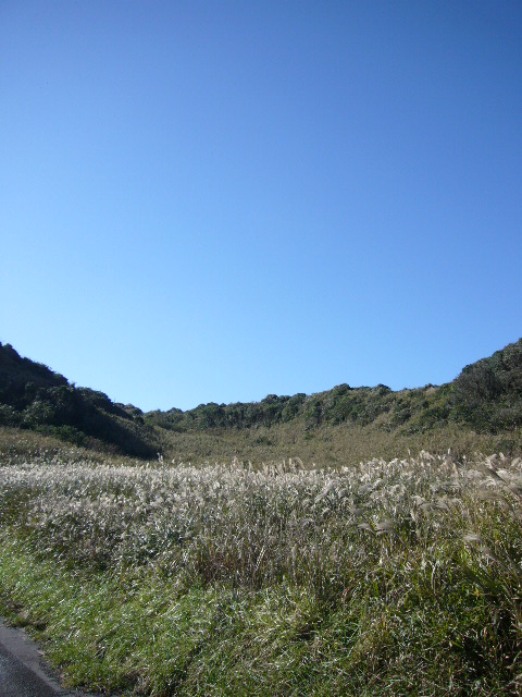 f0147556_1346883.jpg