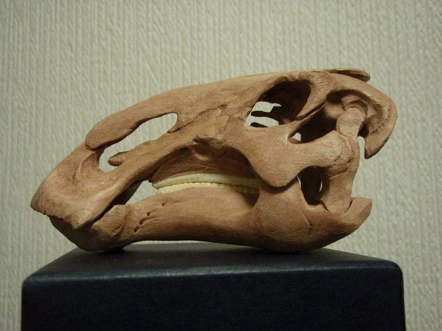 e0064457_14555111.jpg