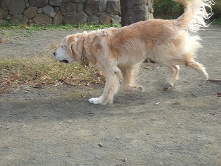 c0097558_14171520.jpg