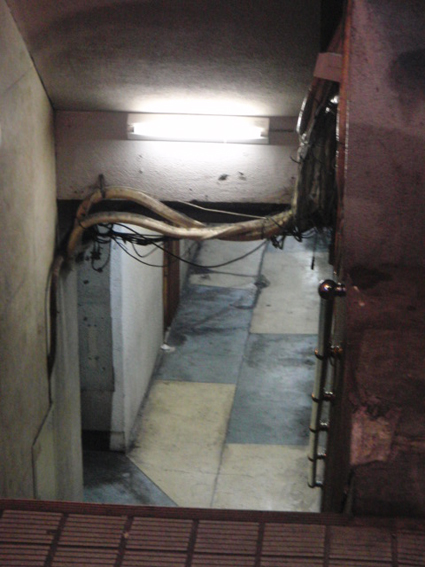 e0193261_11102897.jpg