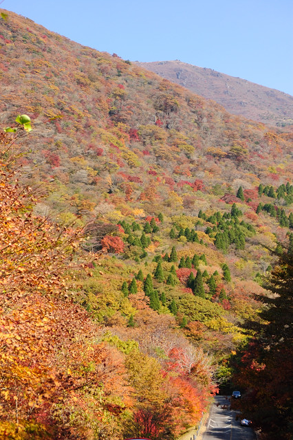 b0170969_9391684.jpg