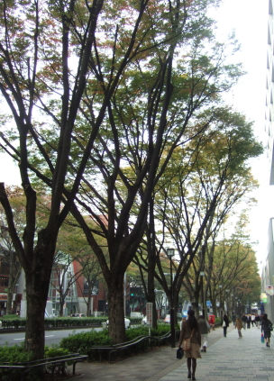 e0142170_13195195.jpg