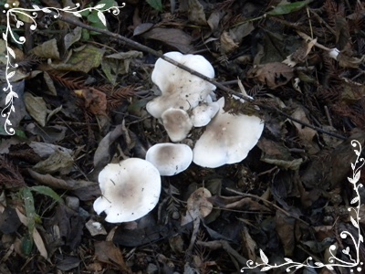 b0149071_21412054.jpg