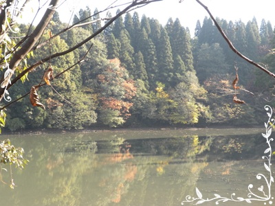 b0149071_21514745.jpg
