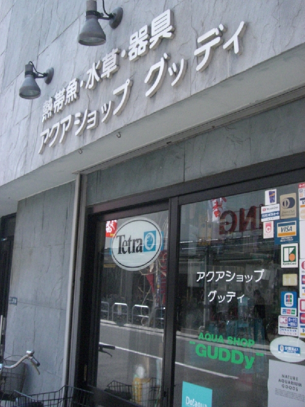 a0070478_23353490.jpg