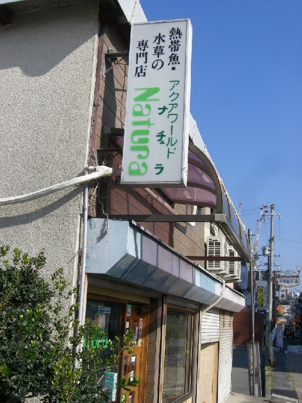 a0070478_23382457.jpg