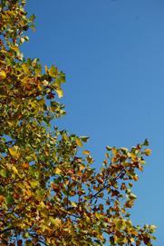 a0062983_003417.jpg