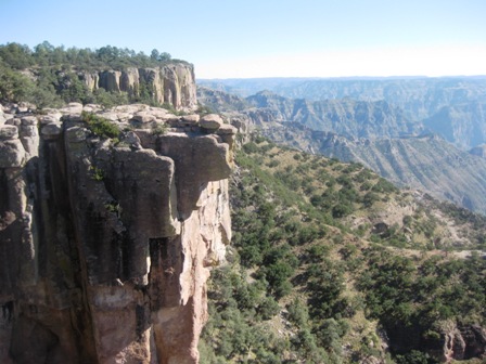 e0172085_14471768.jpg