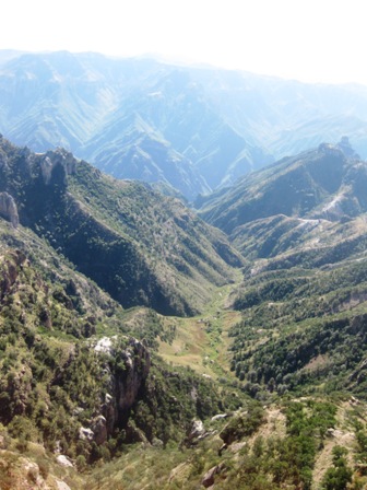 e0172085_1447477.jpg