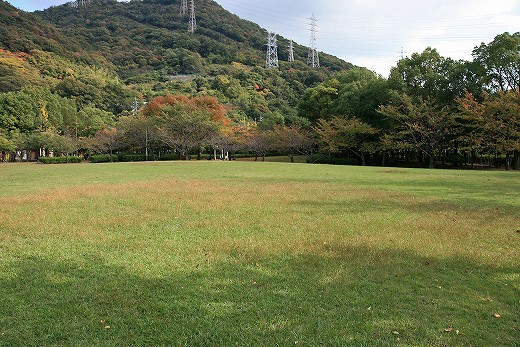 e0190885_1974017.jpg
