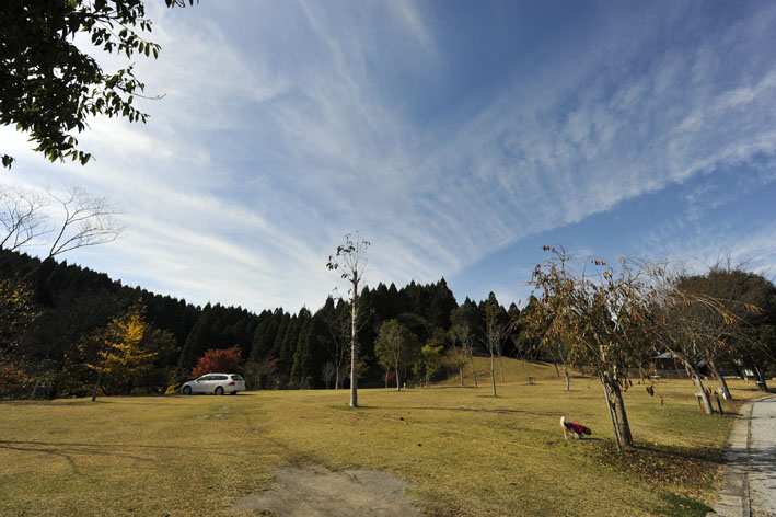 f0112087_1425720.jpg