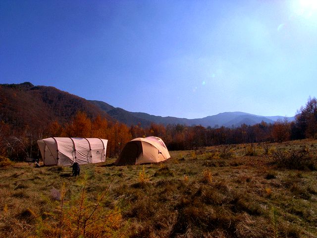 a0093592_012712.jpg