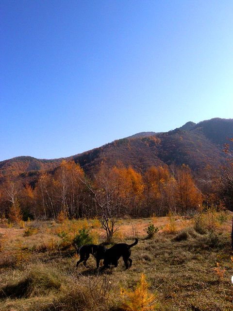 a0093592_10302358.jpg