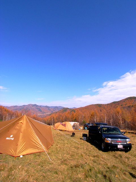 a0093592_1227384.jpg