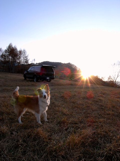 a0093592_12529100.jpg