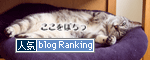 人気blogランキングへ