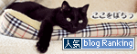 人気blogランキングへ