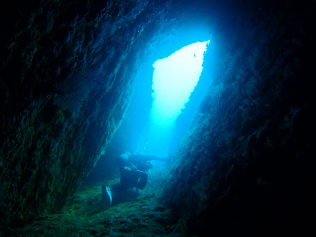 f0053895_1551934.jpg