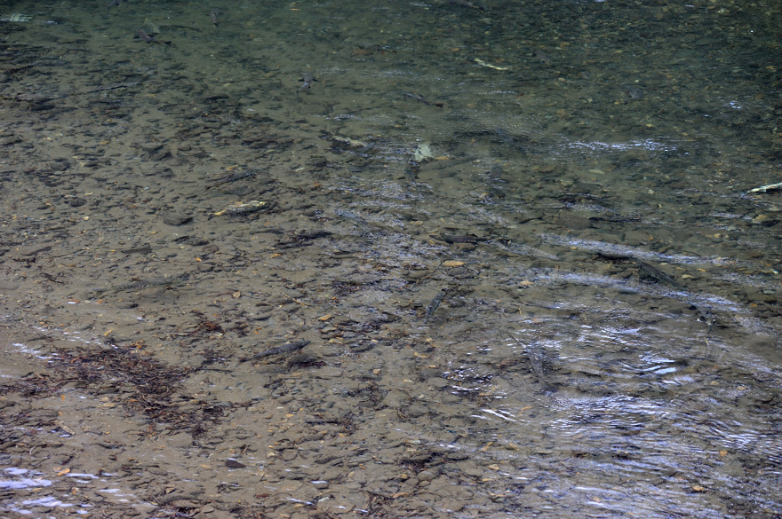 a0062697_23173856.jpg