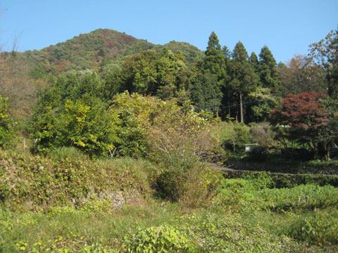 b0097200_1713514.jpg