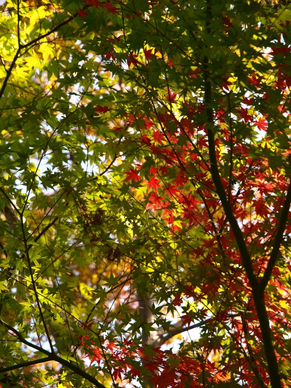 b0138101_1882490.jpg
