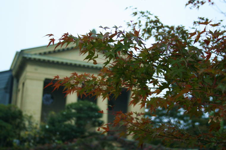 f0031304_1851874.jpg