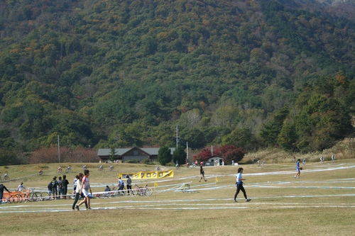 d0131006_23433242.jpg