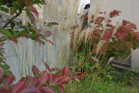 c0056707_10112985.jpg