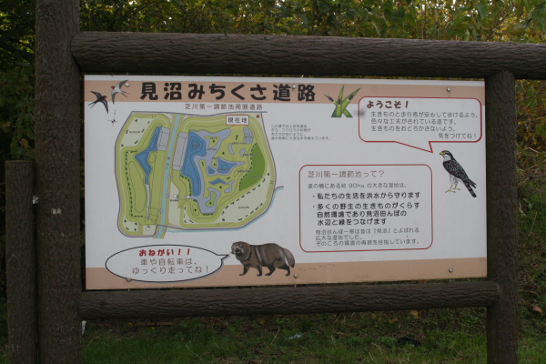 f0186509_223281.jpg