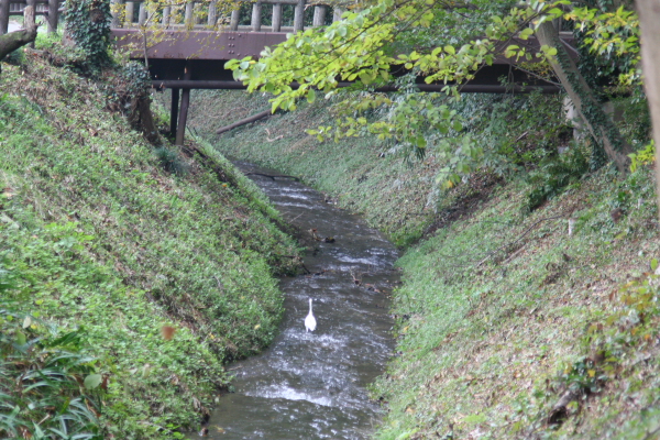 f0186509_2236268.jpg